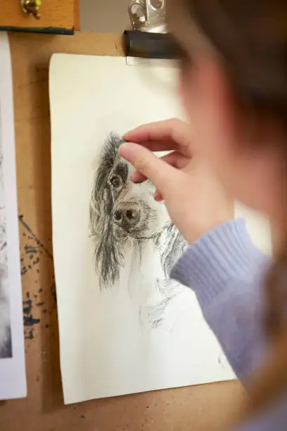 Comment dessiner un chien